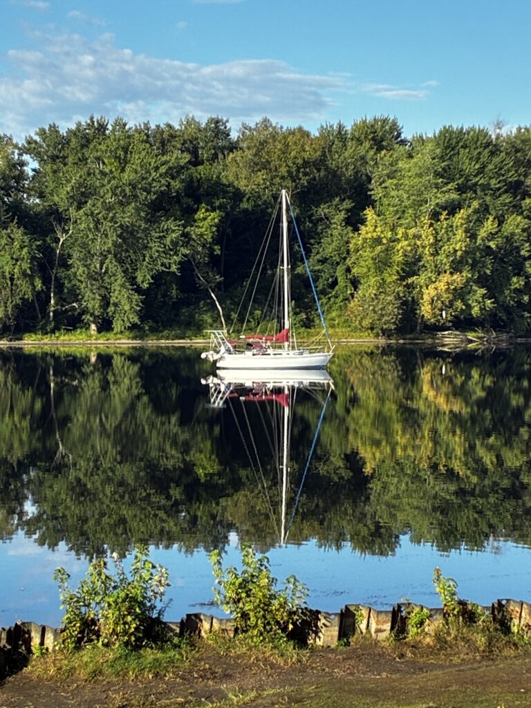 sailboat sailboat